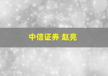 中信证券 赵亮